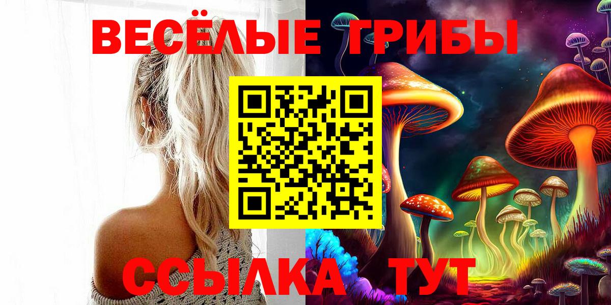 Галлюциногенные грибы GOLDEN TEACHER Кинель