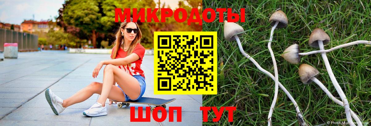 Кинель  Галлюциногенные грибы Psilocybe  Вход с VPN  Псилоцибиновые грибы мицелий 